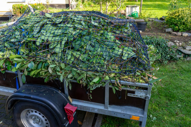 Best Recycling Services for Junk  in Manito, IL